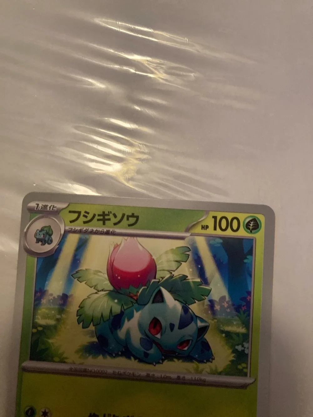 Pokemon Green and Blue Ivysaur Trading Card Japanese